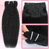 Kinky Straight Clip in Hair Extensions Real Human Hair for