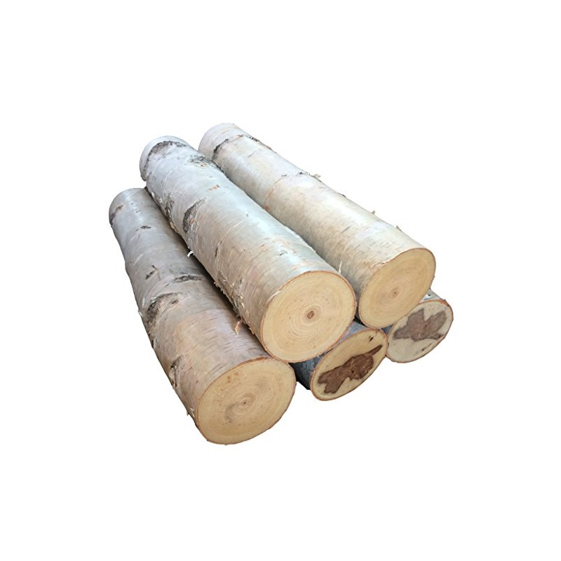 Large Birch Fireplace Log Set of Five
