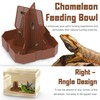 Fischuel Chameleon Feeding Bowl for Reptile Terrarium, Climbable Design for