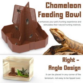 Fischuel Chameleon Feeding Bowl for Reptile Terrarium, Climbable Design for Reptile to Hunt, Suitable for Feeding Lizards, Bearded Dragons, Geckos, Guardians, Frogs, Reddish Brown, Large