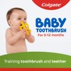 COL Baby Butterfly 1PK