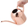 1000ml Stainless Steel Watering Can Sprinkle Pot Long Mouth Garden