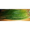 Canadian Hands, Smudge Herbs (1 Unit Sweetgrass Braid)