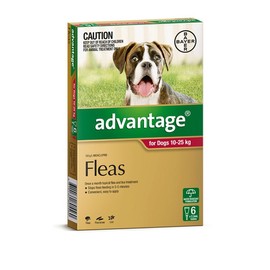 Advantage For Large Dogs (10-25kg) - 6 Pack