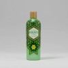 Shampoo Huichol Artesanal De Sabila Anticaida Original