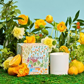 Apotheke Luxury Scented Candles for Home, Neroli Citronella - Aromatherapy Jar Candle with Soy Wax Blend