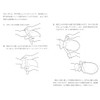 0-3231-02 Sarasara Suppression Gloves (Mamokote)