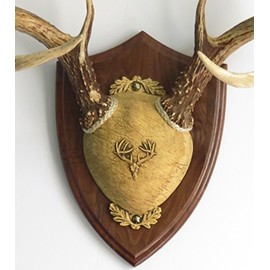 Taxidermists Woodshop TTW Ultimate Antler Mounting Kit - Black Walnut