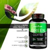 Natural Health Green Coffee Frasco 120 Cápsulas 500mg Ingredientes Naturales