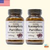 파비플로라 태국 흑생강 끄라차이담 뿌리 분말 600mg 무첨가 비건 60