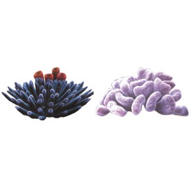 Finding Nemo Decal Tropical Fish Coral Reef Wall Sticker Ocean Peel & Stick Art