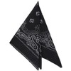 Bandana Black