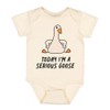 Today I'm a Serious Goose Baby Infant One Piece Bodysuit