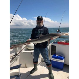 Tope Rigs/Traces x3 150lb Mono, 10/0 Carbon Steel Circle Hooks, 1/0 Swivel.