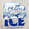 Ice Bags with Twist Ties, 9" W x 18" H