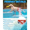 CuteBone Dog Swim Trunks Swimsuit Durable & Comfortable - Quick-Dry,