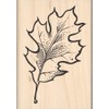 Stamps by Impression Oak Leaf Rubber Stamp 983