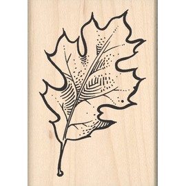 Stamps by Impression Oak Leaf Rubber Stamp 983