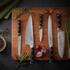 Sasaki 5236109 Masuta Japanese AUS-10 Stainless Steel Slicing Knife with