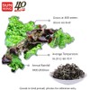 Fortune Dried Black Fungus Dried Woodear Mushroom (Shredded) 4oz. 特級木耳絲