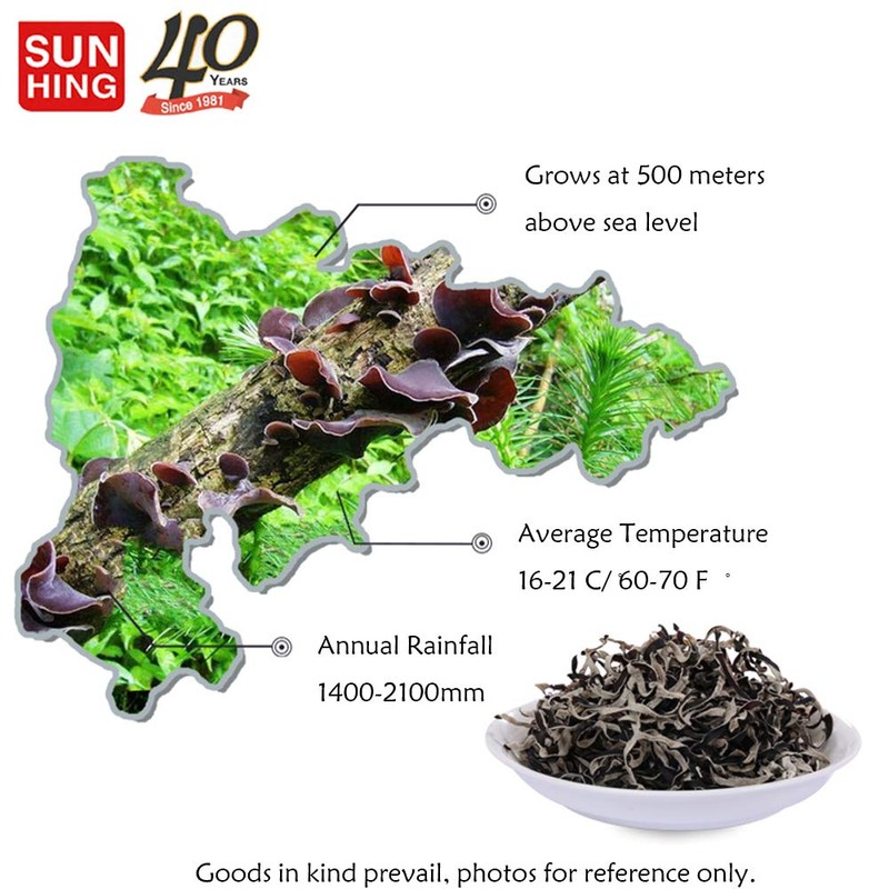 Fortune Dried Black Fungus Dried Woodear Mushroom (Shredded) 4oz. 特級木耳絲