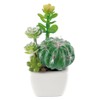 Kishima KH-60984 CT Catalyst Deodorizing Artificial Green Succulent Refellium