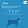 RC Pets Adventure Kitty Harness Includes Adjustable, Airmesh Fabric, 6'