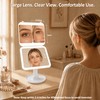 Rechargeable Travel Makeup Mirror with Light,10X 40X Magnification