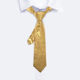 Barry.Wang Boys Tie Boys Silk Necktie Pocket square Set,Paisley Plaid For Prom Party Busines Ceremony