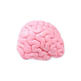 GIANTmicrobes Brainwashed Soap