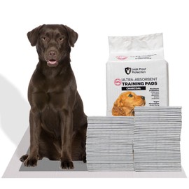 FPN Charcoal Puppy Pee Pads for Dogs | 24x36 Inches | 300 Count | Extra Absorbent | Heavy Duty Dog Pad | 5 Layer Puppie for Instant Absorption, (Extra Large)
