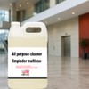 All Purpose Cleaner Gallon | Multi-Surface Concentrated Cleaning Solution |