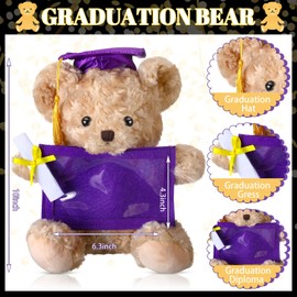 Sotiff 10'' 2025 Graduation Plush Bear with Picture Frame to Display 4 x 6'' Photo Congrats Grad Graduation Gifts Stuffed Bear for Preschool Kindergarten College Masters(Dark Brown, Purple)