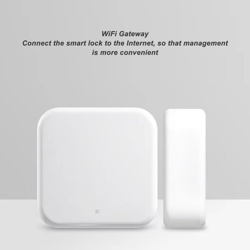 Gateway, 2.4G Gateway Smart Door Lock Remote Voice Control Real
