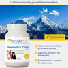 Ayush Pet Boswelya Plus, Joint and Muscle Support for Pets,