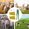 100 Aretes Para Cerdo Cabra Ganado Numeros Láser Con Pinza