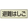 Luminous Escape Equipment Sign fr303 Escape Ladder 066303
