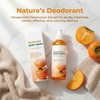 Persimmon Body Wash for Odor Control – Natural Deodorizing Soap
