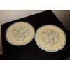 Lenox Dewdrops Temperware Bread & Butter Plate