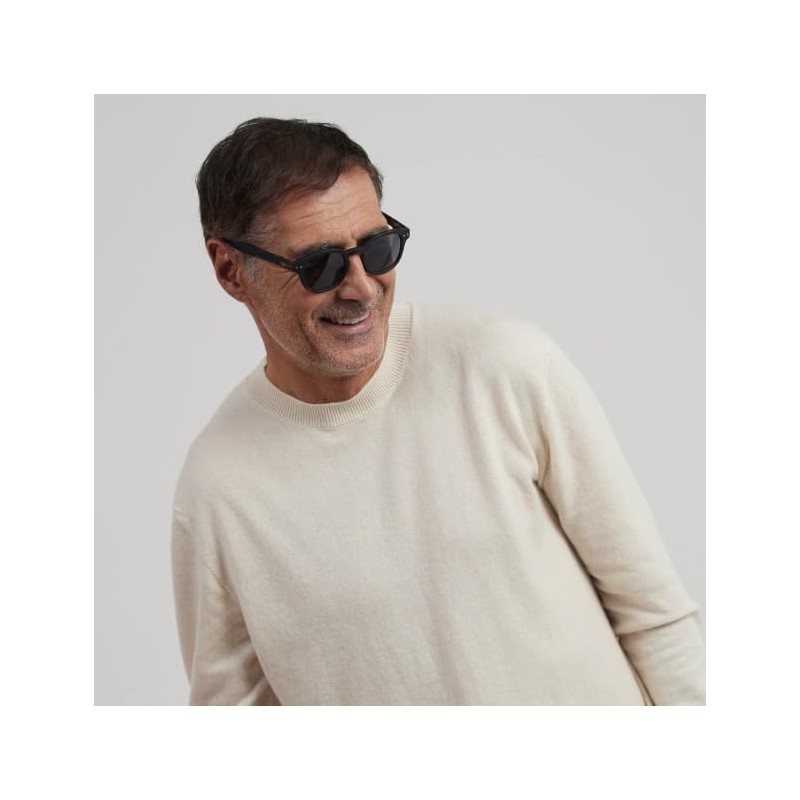 IZIPIZI Sunglasses with Case #C Brown