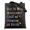 Political Statement Gulf Coast Lover Gift Mexico Vacation Gift Mexico