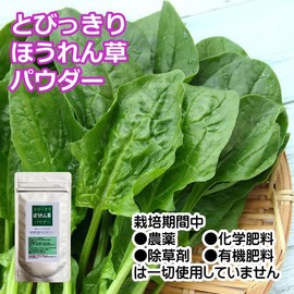 Domestic Spinach Powder, 1.4 oz (40 g)