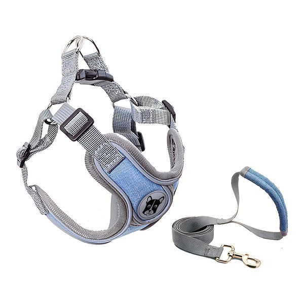 YTUCAS2-piece Set Suitable for Medium-Sized Dogs. Adjustable Breathable mesh Dog