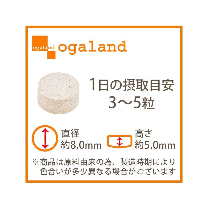 MSM & kyattukuro- , , ,