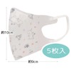 スケーター (skater) 不織布 立体マスク 子供用 ムーミン 5枚 MSKB1-A