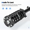Front Complete Shock Absorber Fit for Honda Accord 2.4L 3.5L