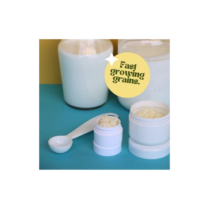 Simply Life Probiotics Milk Kefir Grains,Turkish Strain, Pajaritos de Leche,