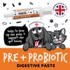 Bugalugs Pre & Probiotic Digestive Paste for Dog & Cat