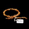 Amber Collar for Dogs and Cats - Certified Baltic Sea