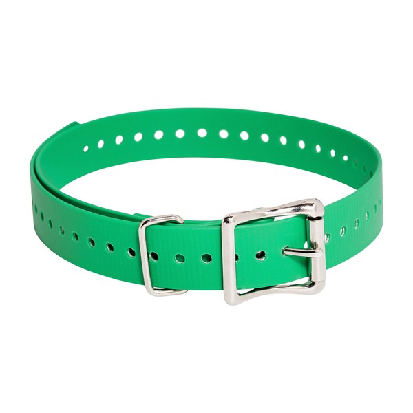 SportDOG Brand 1 Inch Collar Strap, Green